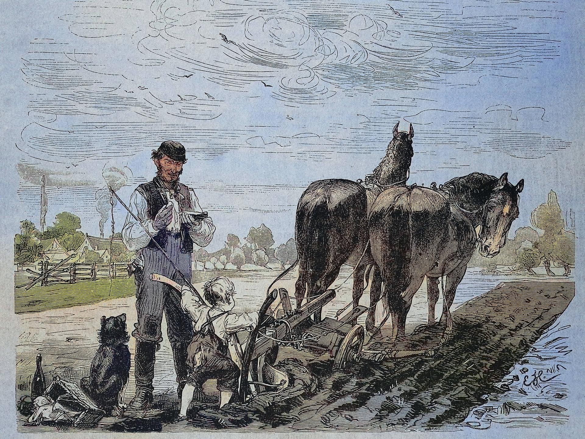 Eine Zeichnung. Ein kleiner Junge steht hinter zwei Pferden, die vor einen Pflug gespannt sind. Neben dem Jungen steht der Bauer.