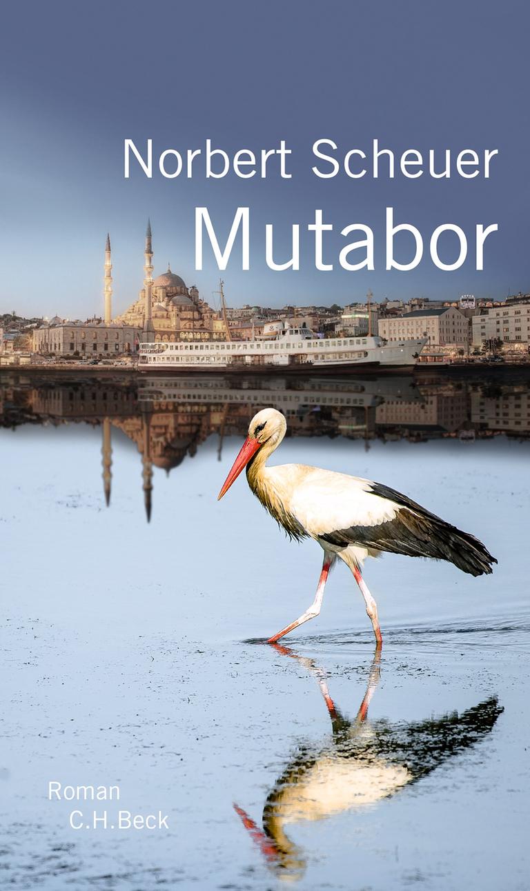 Auf dem Bild ist ein Storch zu sehen, der im Fluss watet, im Hintergrund ist eine Stadt mit Kaimauer und Moschee zu sehen.