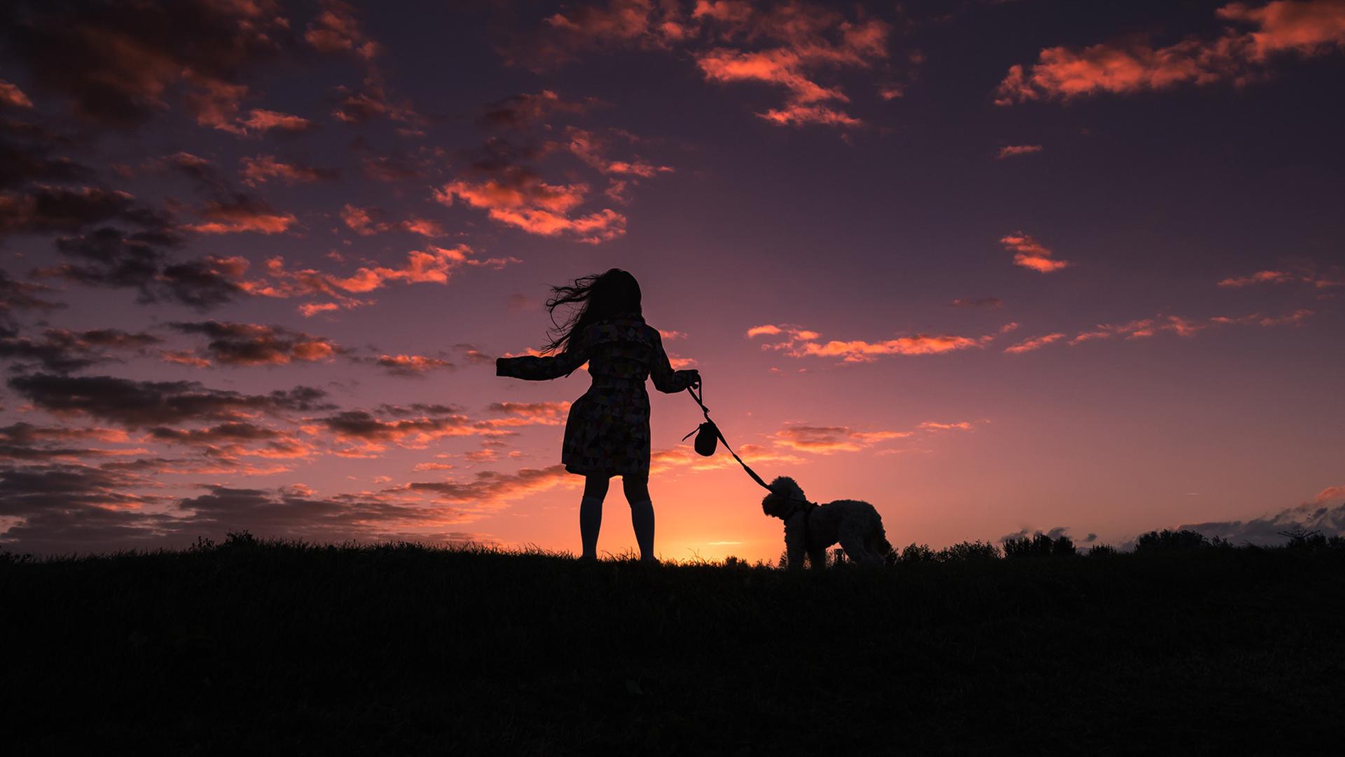 Ein Mädchen an einem Strand bei Sonnenuntergang mit einem Hund. 