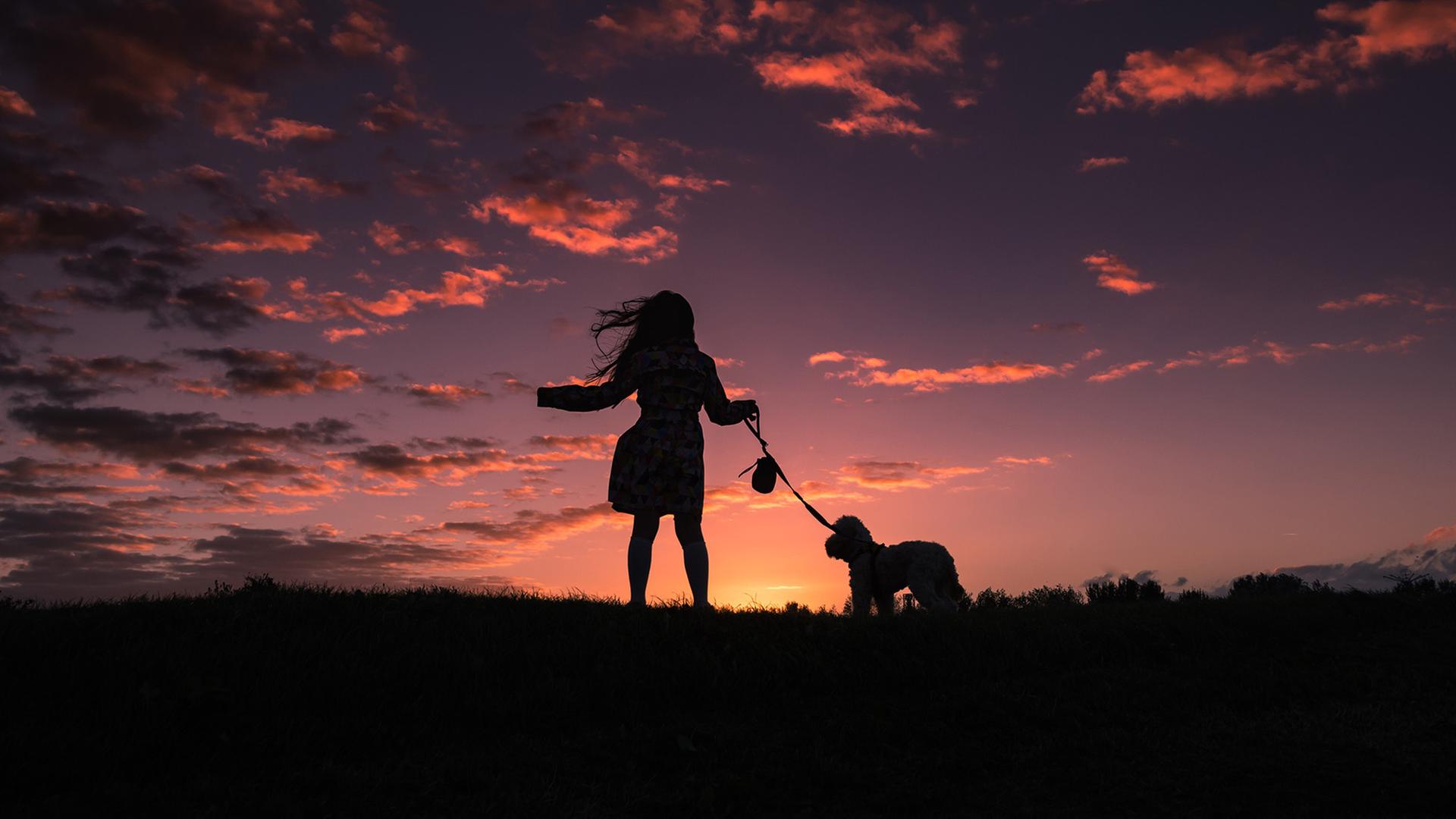 Ein Mädchen an einem Strand bei Sonnenuntergang mit einem Hund. Ein Mädchen an einem Strand bei Sonnenuntergang mit einem Hund.