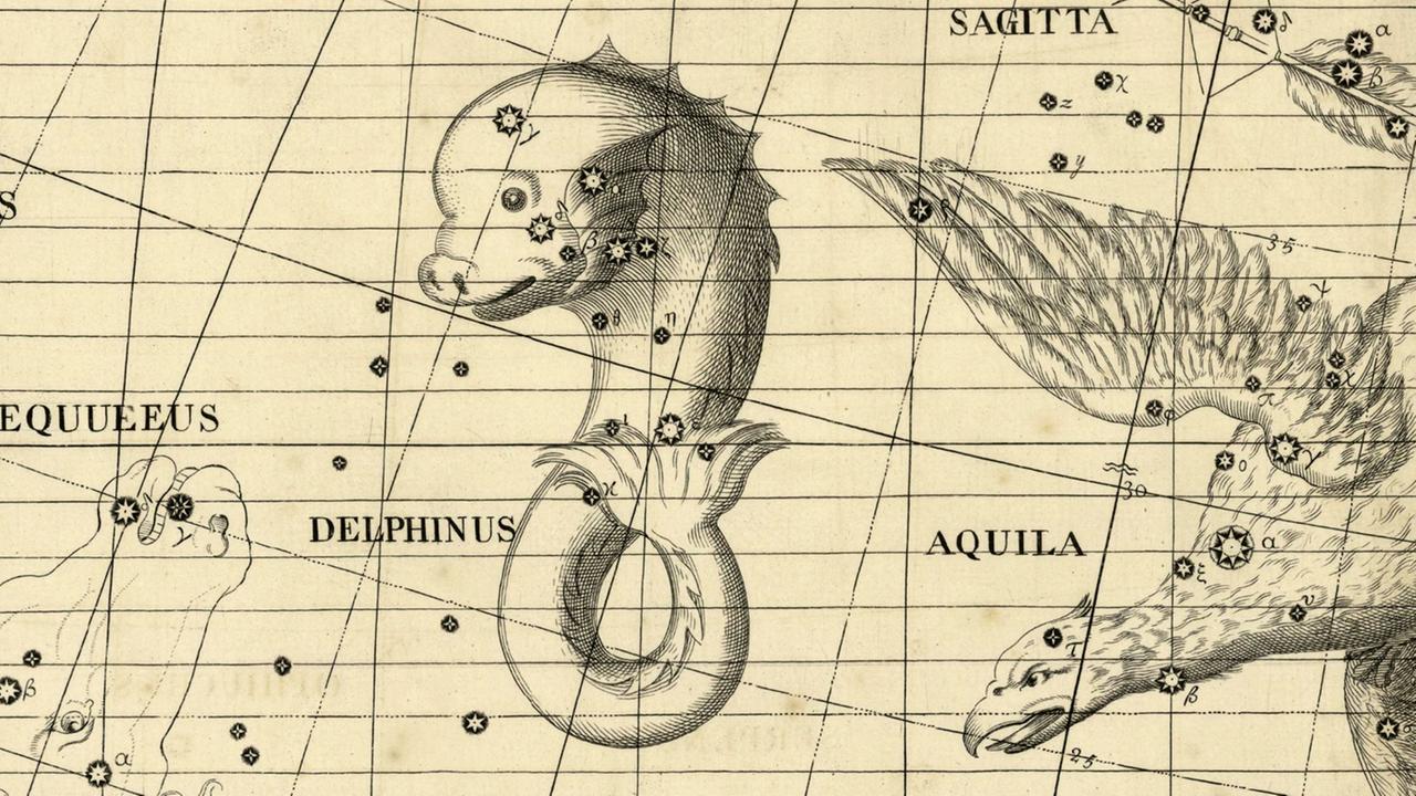 Das Sternbild Delfin in einer historischen Darstellung