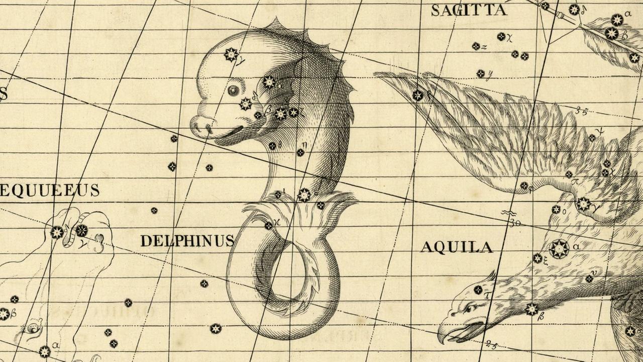 Das Sternbild Delfin in einer historischen Darstellung Das Sternbild Delfin in einer historischen Darstellung