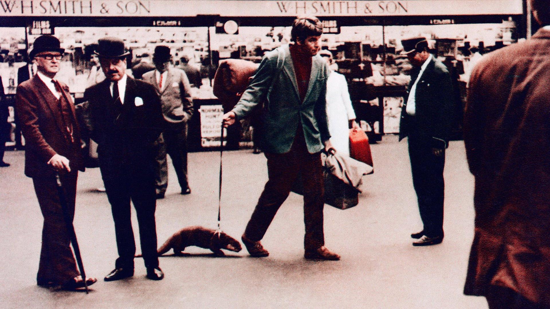 Bill Travers mit Otter in dem Film "Ring Of Bright Water" (1969), der auf Gavin Maxwells gleichnamigem Buch basiert. Bill Travers mit Otter in dem Film "Ring Of Bright Water" (1969), der auf Gavin Maxwells gleichnamigem Buch basiert.