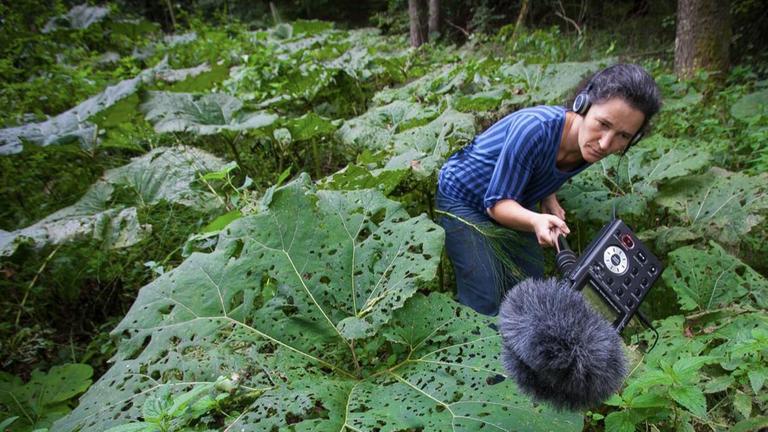 Die Klangkünstlerin Clara Oppel streicht mit Aufnahmegerät und Mikrophon durch ein grünes Pflanzendickicht auf der Suche nach interessanten Klängen