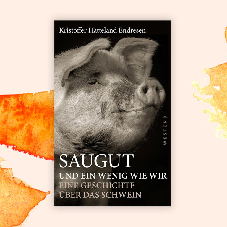 Hatteland Endresen: “Saugut und ein wenig wie wir” – Ein Fleischesser schreibt über Schweine