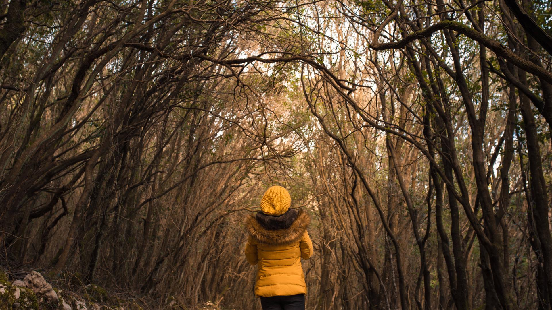 Eine Frau spaziert einen Waldweg entlang Eine Frau spaziert einen Waldweg entlang