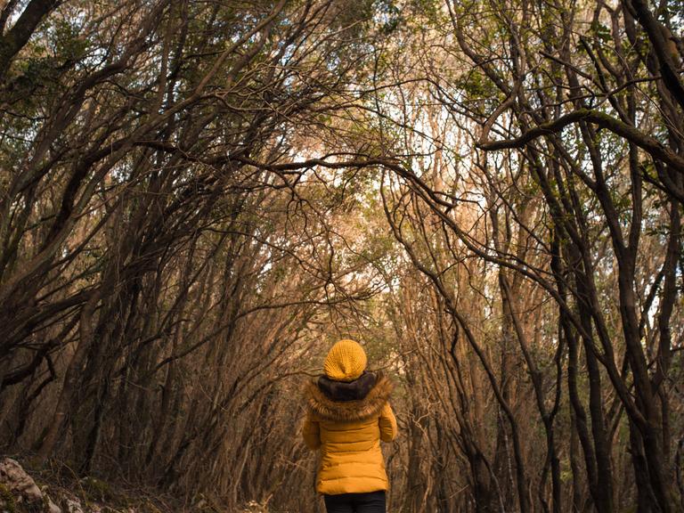 Eine Frau spaziert einen Waldweg entlang