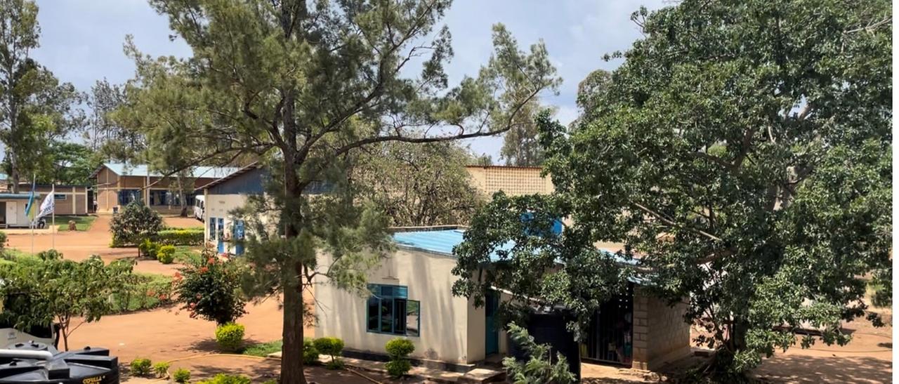 Häuschen inmitten von Bäumen: die älteren Unterkünfte des Flüchtlingszentrums Gashora in Ruanda. Häuschen inmitten von Bäumen: die älteren Unterkünfte des Flüchtlingszentrums Gashora in Ruanda.