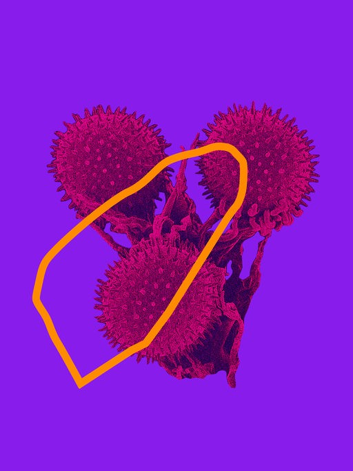 Pollen in einer grafischen Darstellung