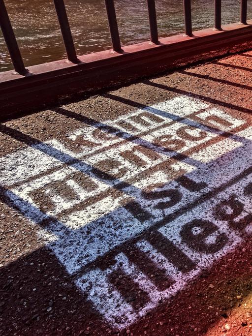 Auf den Asphalt vor einem Zaun ist mit weißer Farbe der Schriftzug gesprüht: "Kein Mensch ist illegal".
