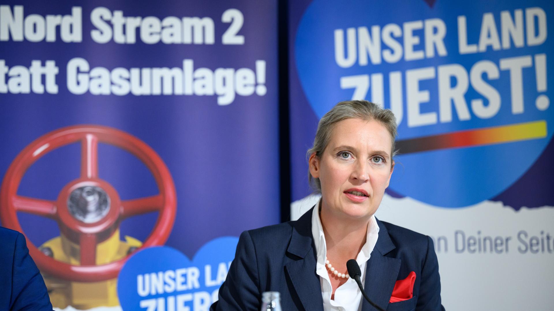 AfD-Co-Vorsitzende - Weidel Sieht Einen "Wirtschaftskrieg Gegen ...