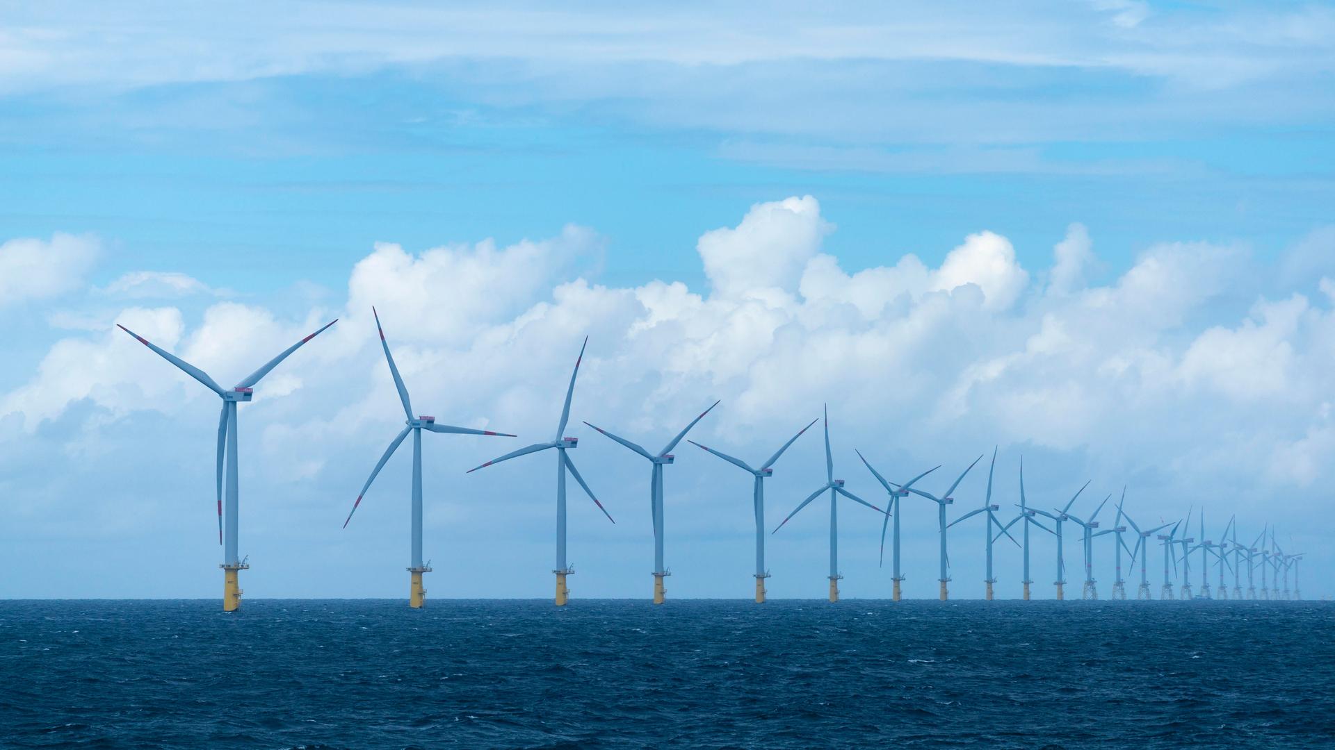 Offshore-Windpark Meerwind Offshore-Windpark Meerwind