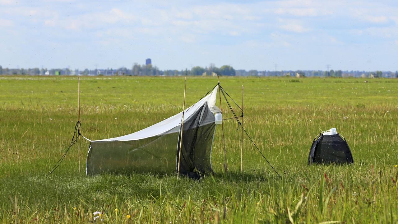 Malaisefalle im Grünland zum Fangen von Fluginsekten, Niederlande Malaisefalle im Grünland zum Fangen von Fluginsekten, Niederlande