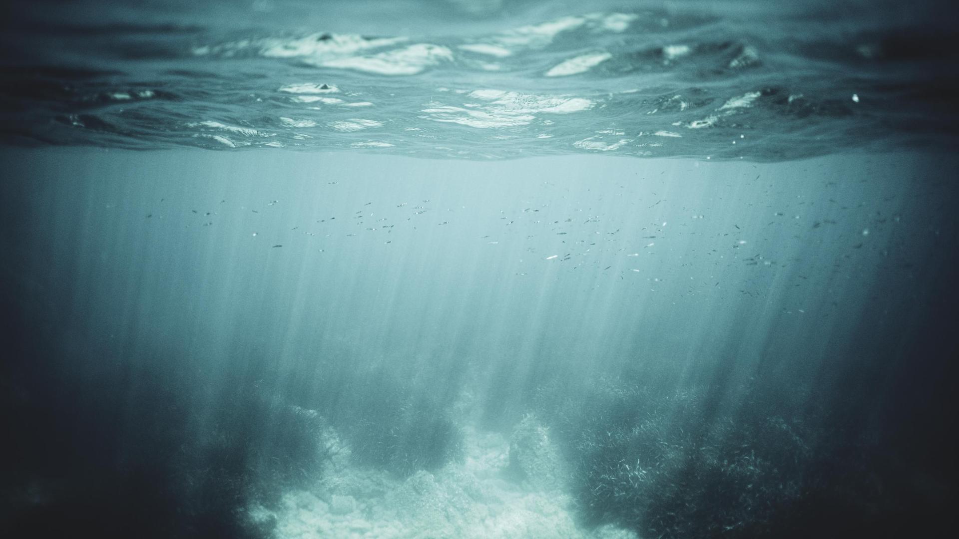 Ein Blicks ins Wasser Ein Blicks ins Wasser