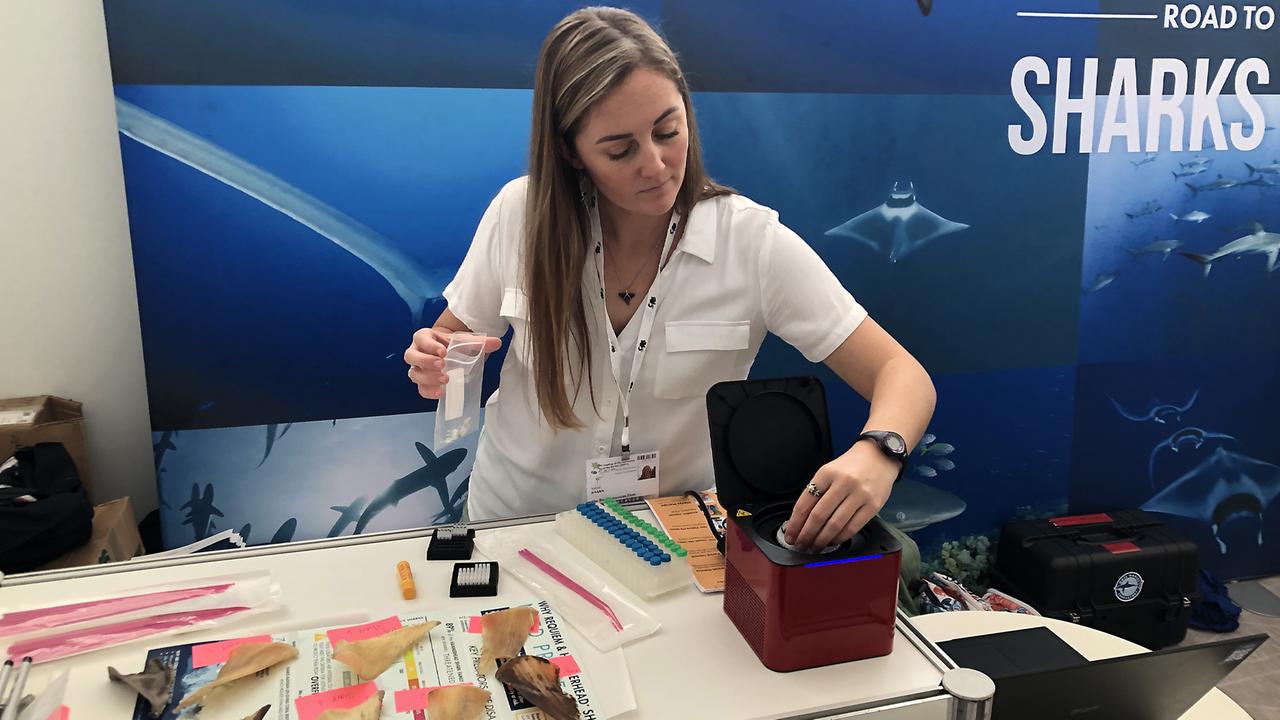 Demonstration des PCR-Tests auf der Weltartenschutzkonferenz, auf dem Tisch Haifischflossen verschiedener Arten
