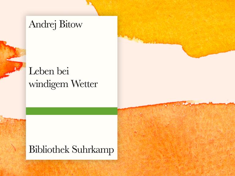 Zu sehen ist das Cover des Buches "Leben bei windigem Wetter" von Andrej Bitow.