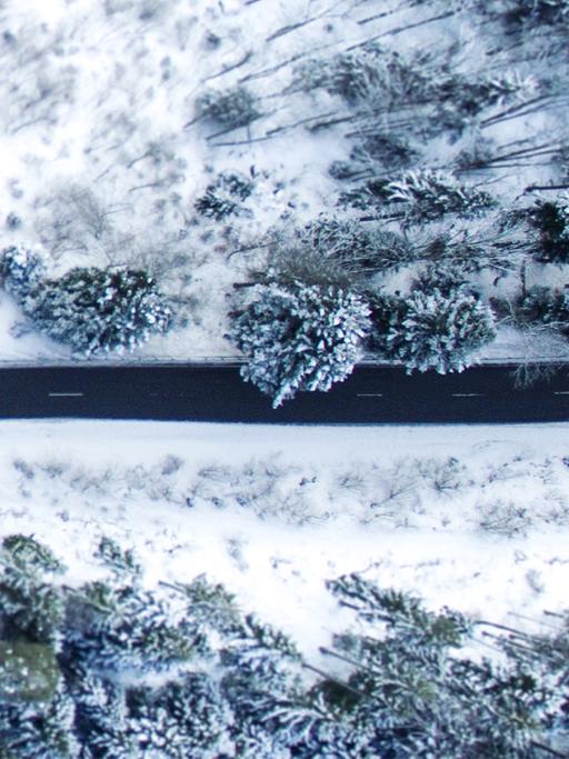 Eine sich schlängelnde Straße in verschneiter Waldlandschaft aus der Vogelperspektive.