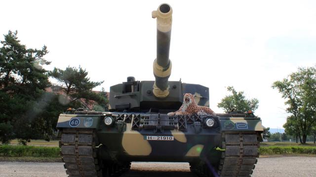Ein Panzer des Typs Leopard 2 A4 steht auf dem Kasernengelände. Das Zielrohr ist frontal zur Kamera gerichtet. Auf dem Panzer hockt ein Kunstleopard.