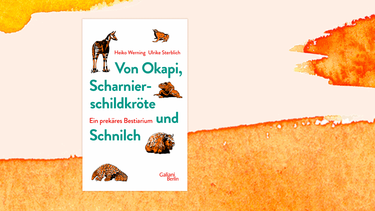 Cover des Buchs "Von Okapi, Scharnierschildkröte und Schnilch. Ein prekäres Bestiarium". Cover des Buchs "Von Okapi, Scharnierschildkröte und Schnilch. Ein prekäres Bestiarium".