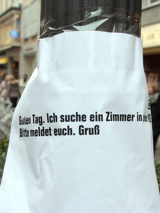 Gesuch mit Aufschrift "Ich suche ein Zimmer in einer WG" eines Studierenden an einem Laternenpfahl in der Theatinerstraße in München