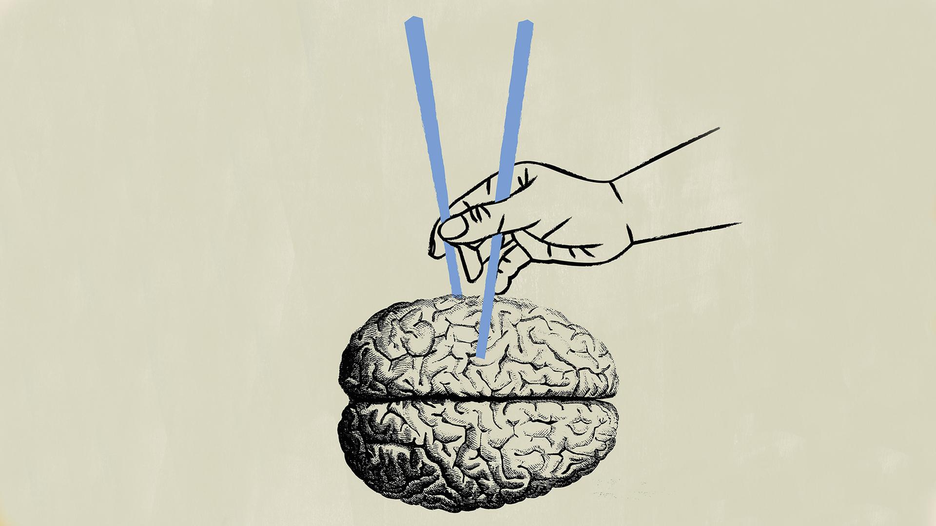 Illustration eines Gehirns das von Essstäbchen gehalten wird.