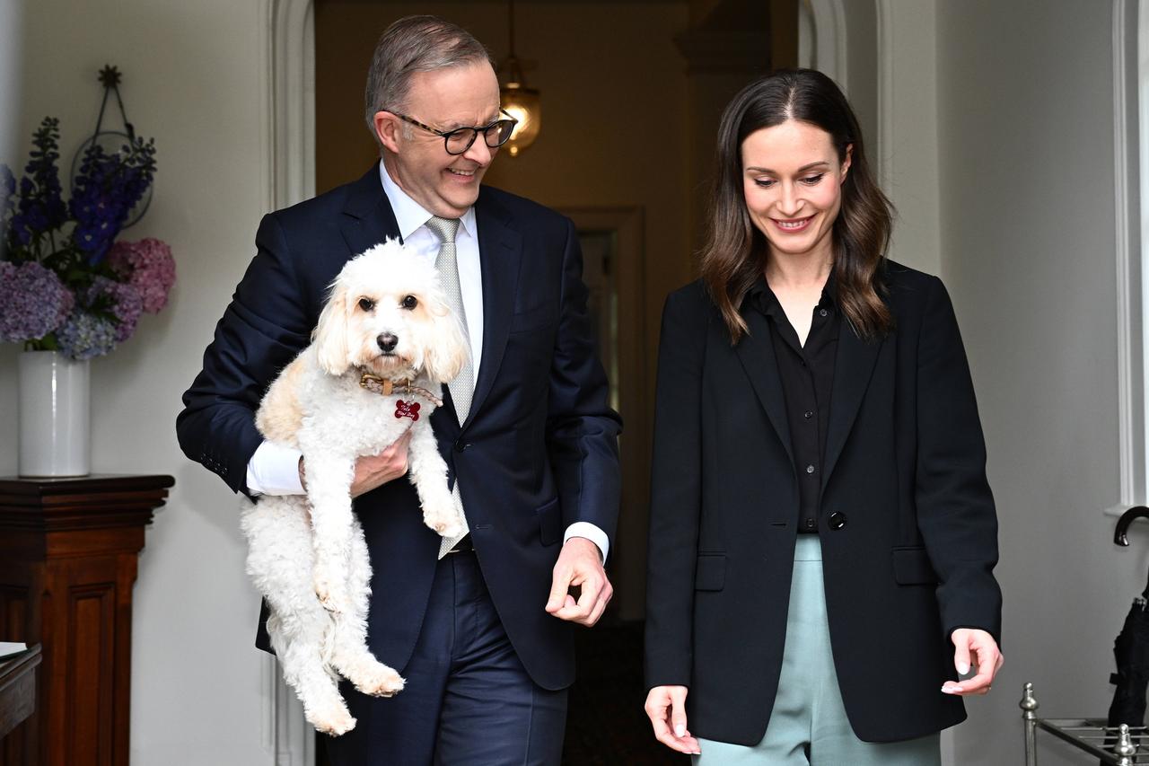 SANNA MARIN AUSTRALIA VISIT, Prime Minister Anthony Albanese with his dog Toto, welcomes Prime Minister of the Republic of Finland Sanna Marin, during a visit to Australia at Kirribilli House, in Sydney, Friday, December 2, 2022.  ACHTUNG: NUR REDAKTIONELLE NUTZUNG, KEINE ARCHIVIERUNG UND KEINE BUCHNUTZUNG SYDNEY NSW AUSTRALIA PUBLICATIONxINxGERxSUIxAUTxONLY Copyright: xDANxHIMBRECHTSx 20221202001737838152