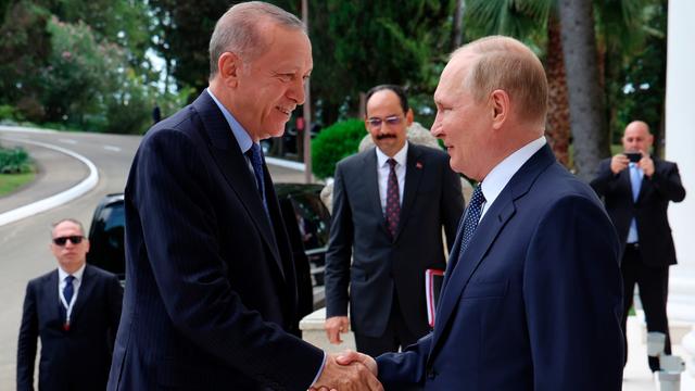 Die Präsidenten von Russland und der Türkei geben sich die Hände.