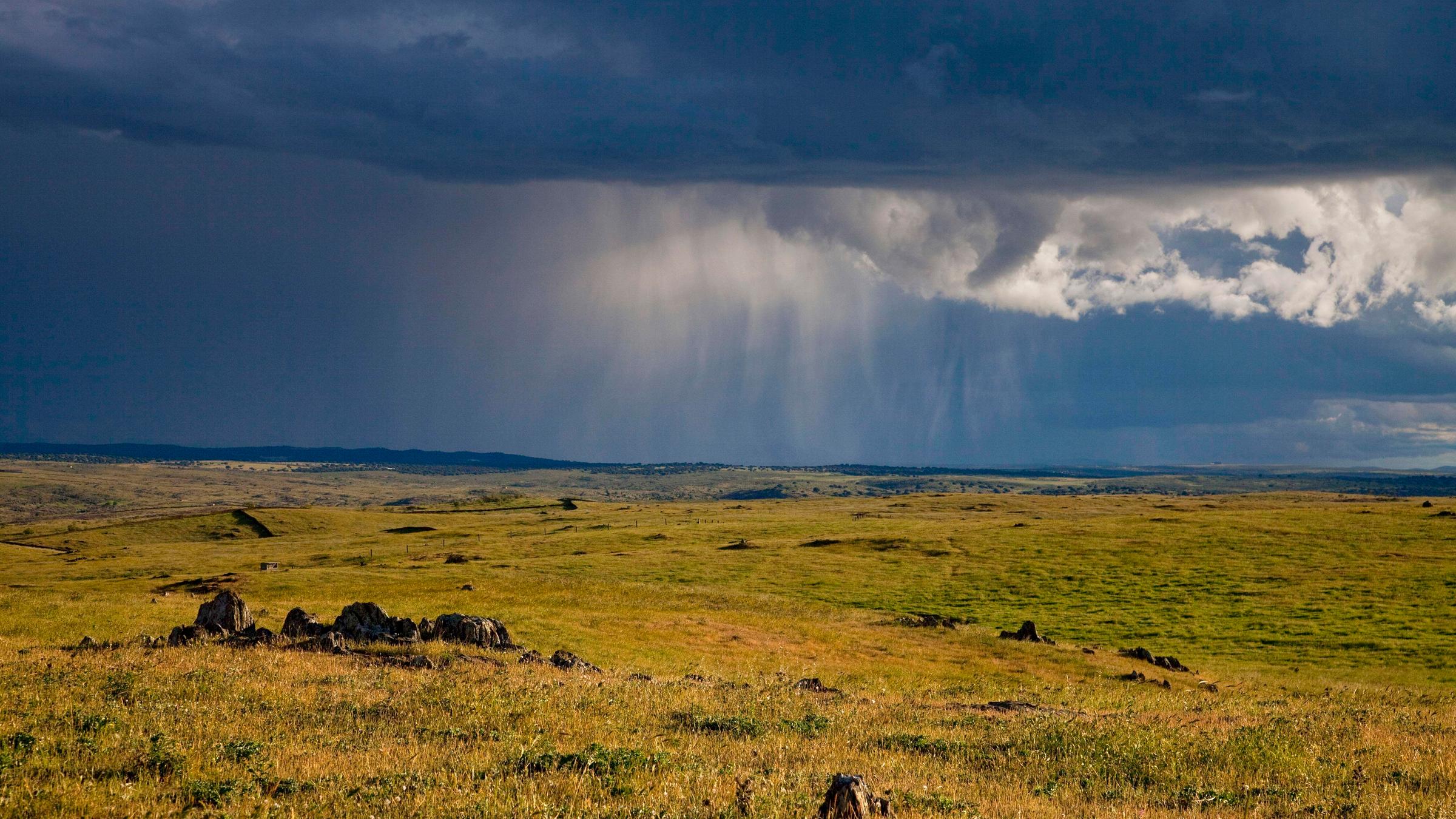 Extremadura bei Caceres, Trujillo-Ebene