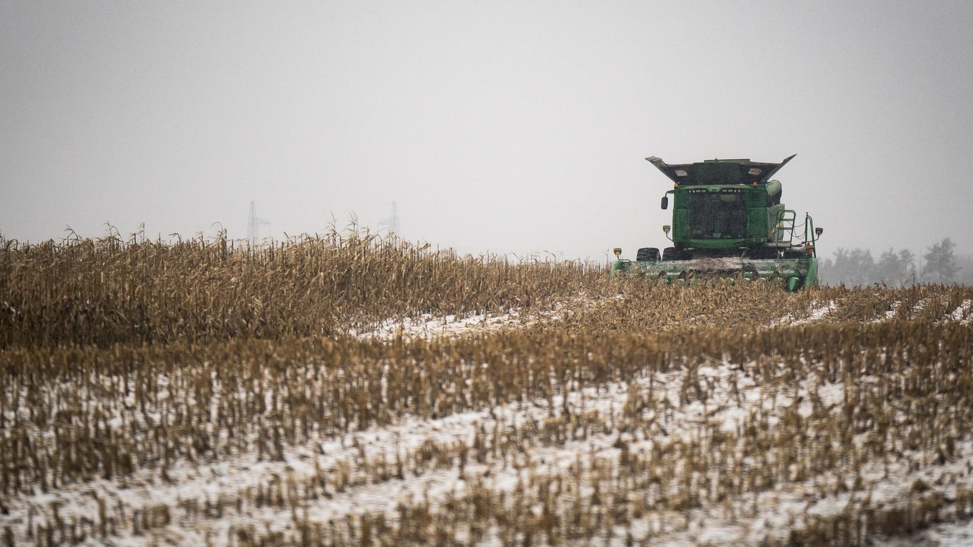 Ein Feld in der Ukraine im Winter. Ein Feld in der Ukraine im Winter.