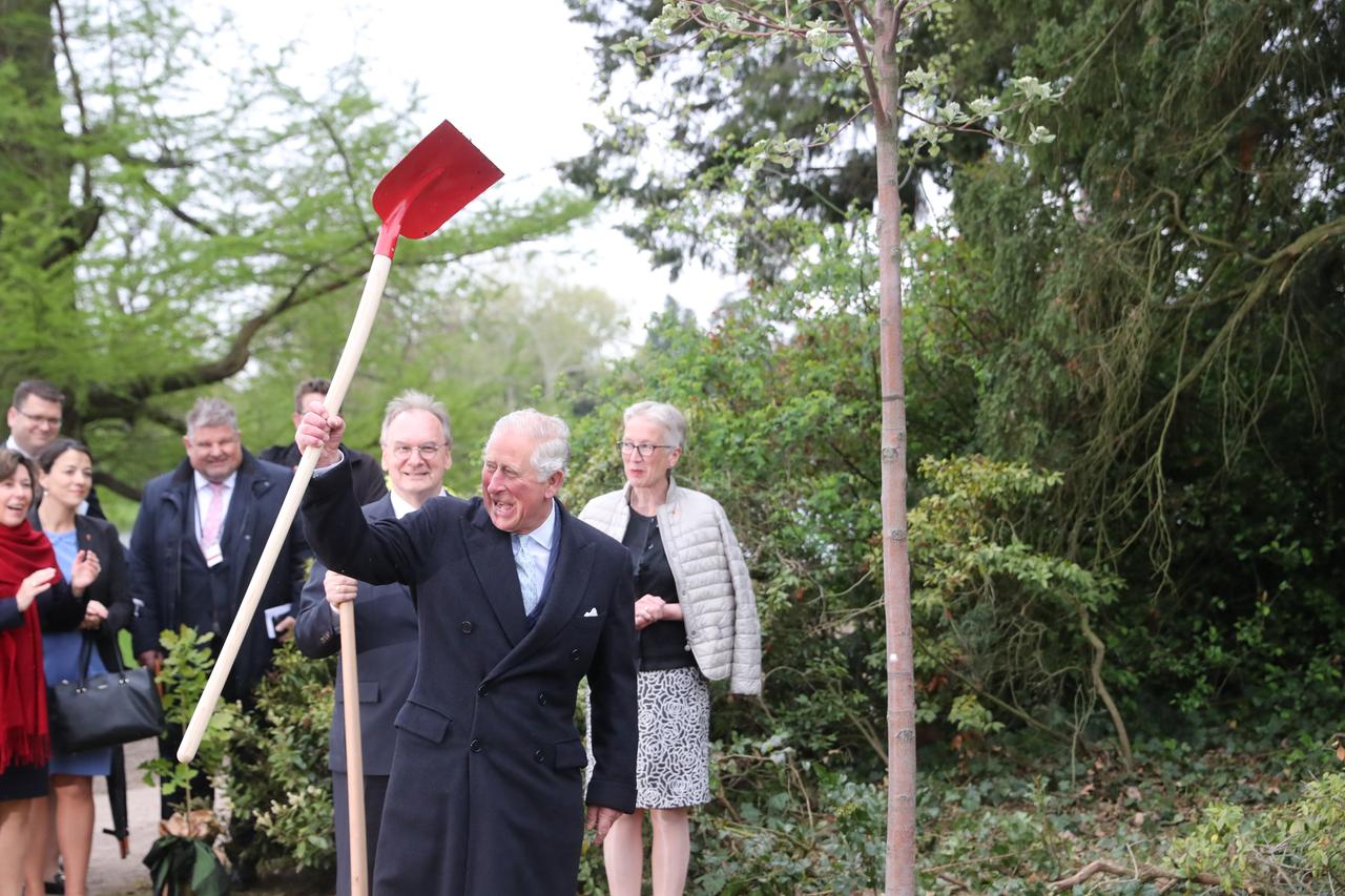 Der britische Thronfolger Prinz Charles hebt eine Schaufel in die Luft, nachdem er zuvor einen Baum im Gartenreich Dessau-Wörlitz gepflanzt hat. Der britische Thronfolger Prinz Charles hebt eine Schaufel in die Luft, nachdem er zuvor einen Baum im Gartenreich Dessau-Wörlitz gepflanzt hat.