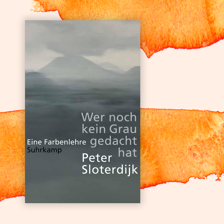Peter Sloterdijk: „Wer noch kein Grau gedacht hat. Eine Farbenlehre“ – Leben in der Grauzone