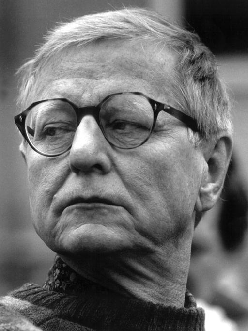 Der deutsche Schriftsteller Hans Magnus Enzensberger 1991.