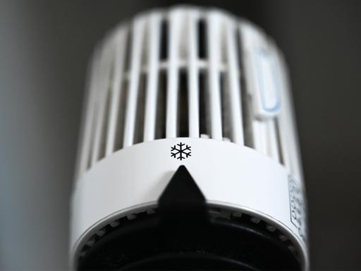 Der Thermostat an einer Heizung steht auf dem Symbol Frost