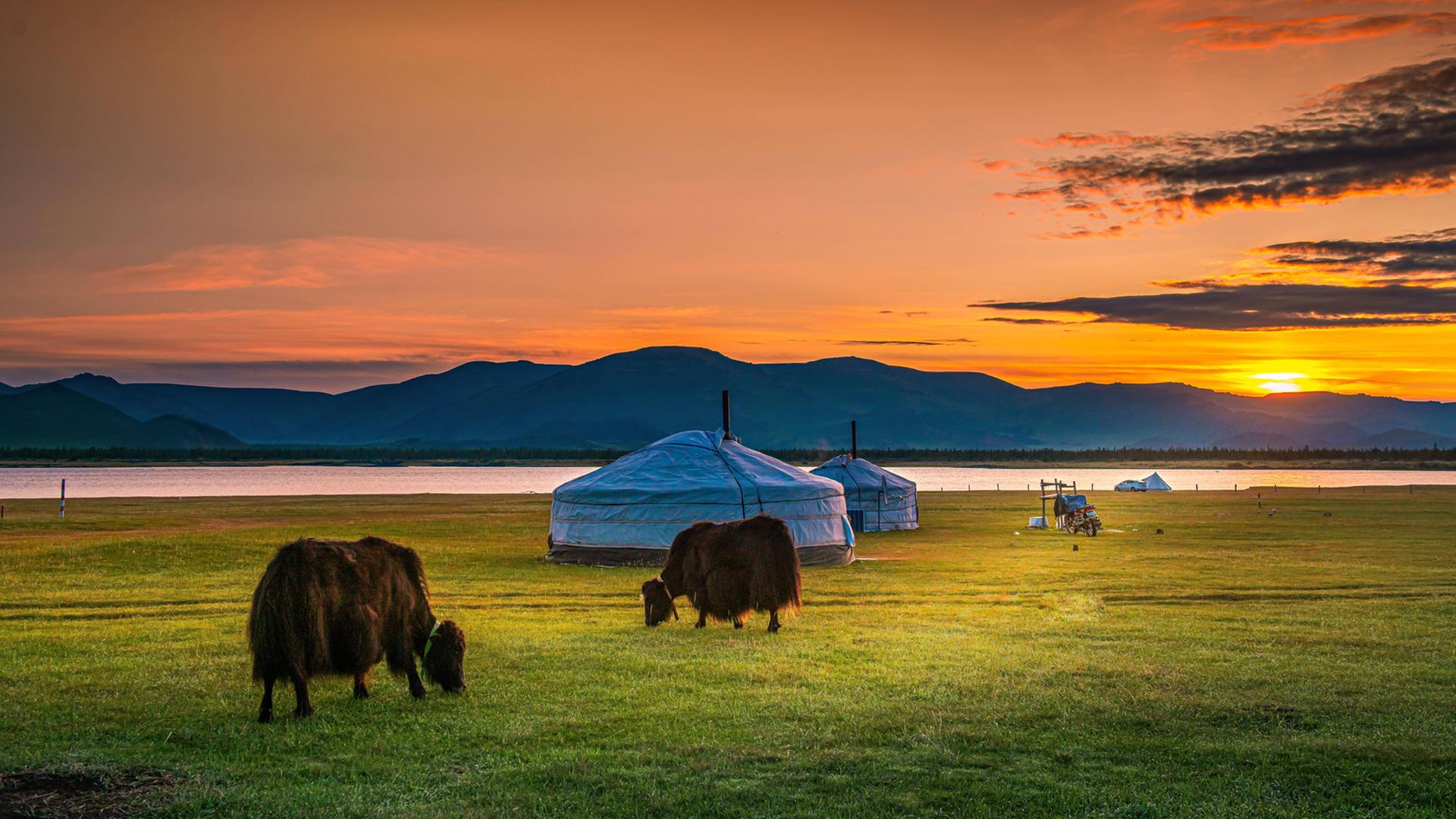 Die mongolische Gesangstradition "Höömii" ist stark von Naturgeräuschen geprägt. Die mongolische Gesangstradition "Höömii" ist stark von Naturgeräuschen geprägt.