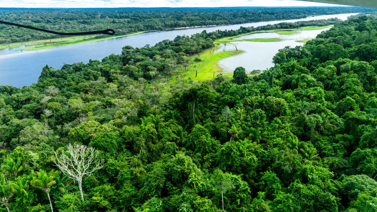 Wissensreichtum und Biodiversität im AmazonasRegenwald
