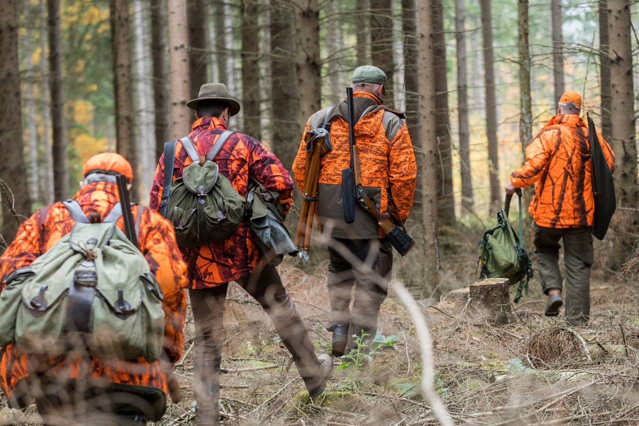 Jäger laufen in tarnfarbenen Klamotten und orangenen Warnwesten auf dem Weg zum Ansitz durch den Wald.