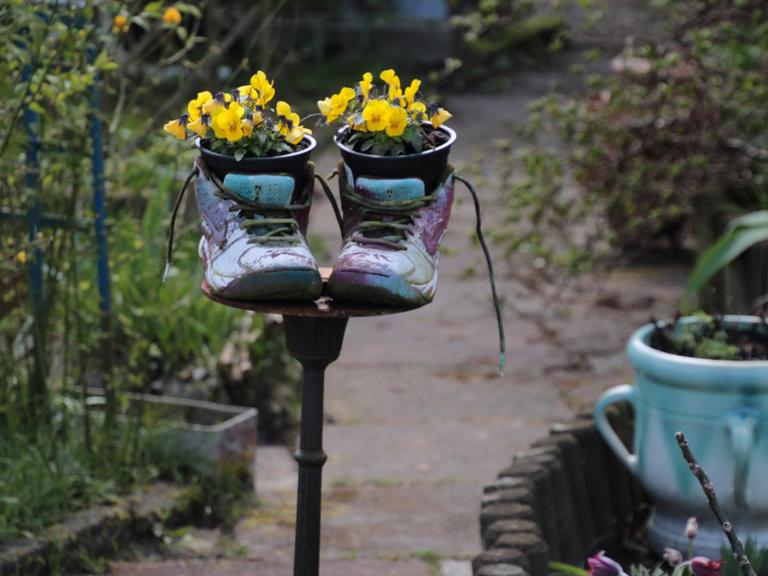 Kleingärten - die Suche nach Kontakt mit der Natur. Zu sehen: In einer Kleingartenanlage sind zwei Schuhe mit Töpfen, in denen Blumen blühen, aufgestellt. 