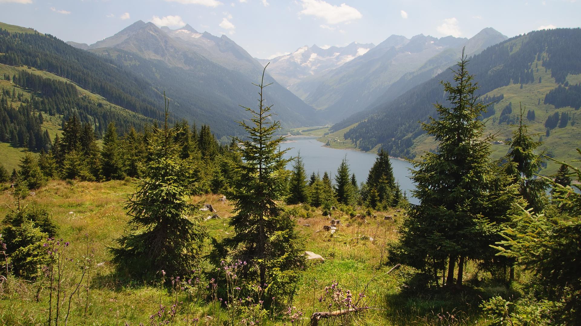 In der Ferne sind Berge zu erkennen. Im Vordergrund: Tannen, ein Stausee und Tal. In der Ferne sind Berge zu erkennen. Im Vordergrund: Tannen, ein Stausee und Tal.