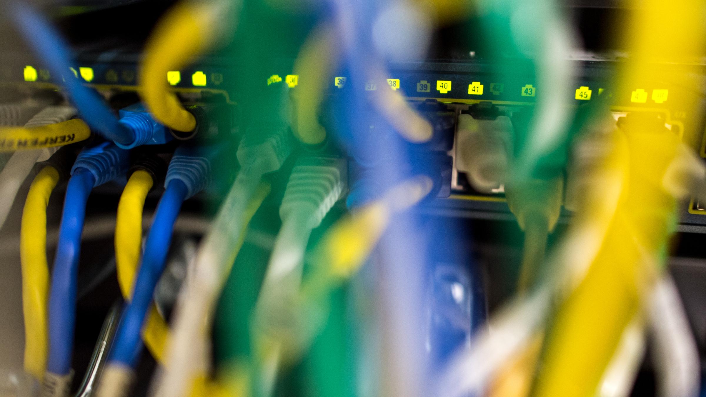 Netzwerkkabel in einem Serverraum 