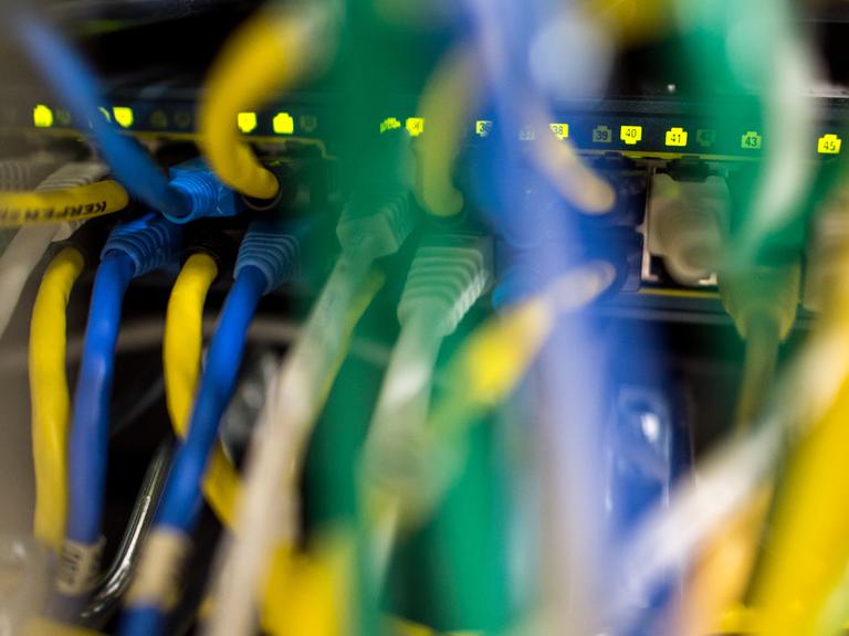 Netzwerkkabel in einem Serverraum 