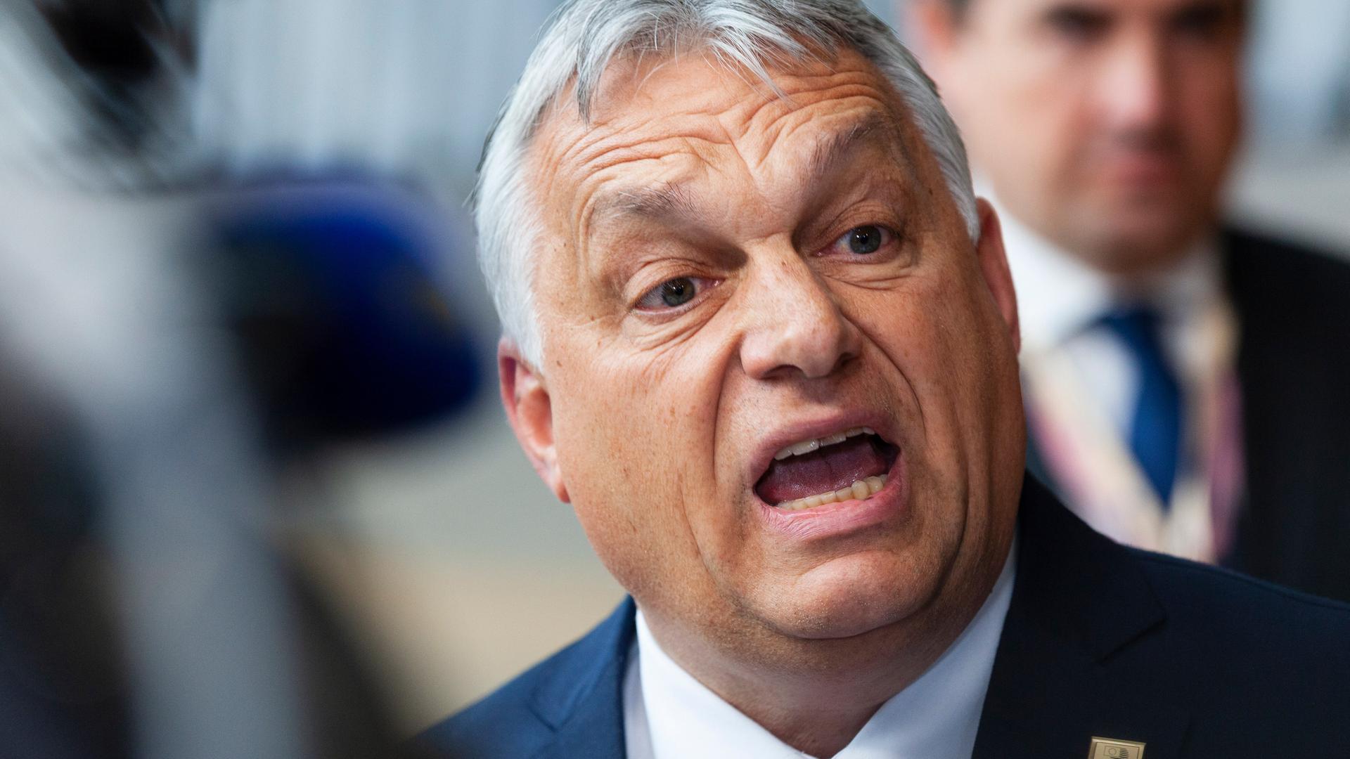 Porträt von Viktor Orban Porträt von Viktor Orban