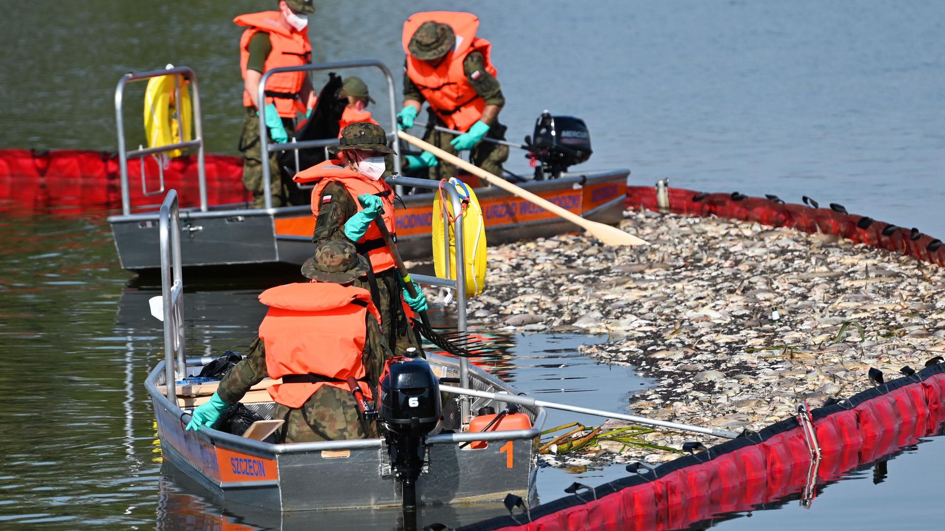 Arbeiter beteiligen sich an einer Aktion zur Reinigung der Oder von toten Fischen mit Hilfe eines flexiblen Damms.
