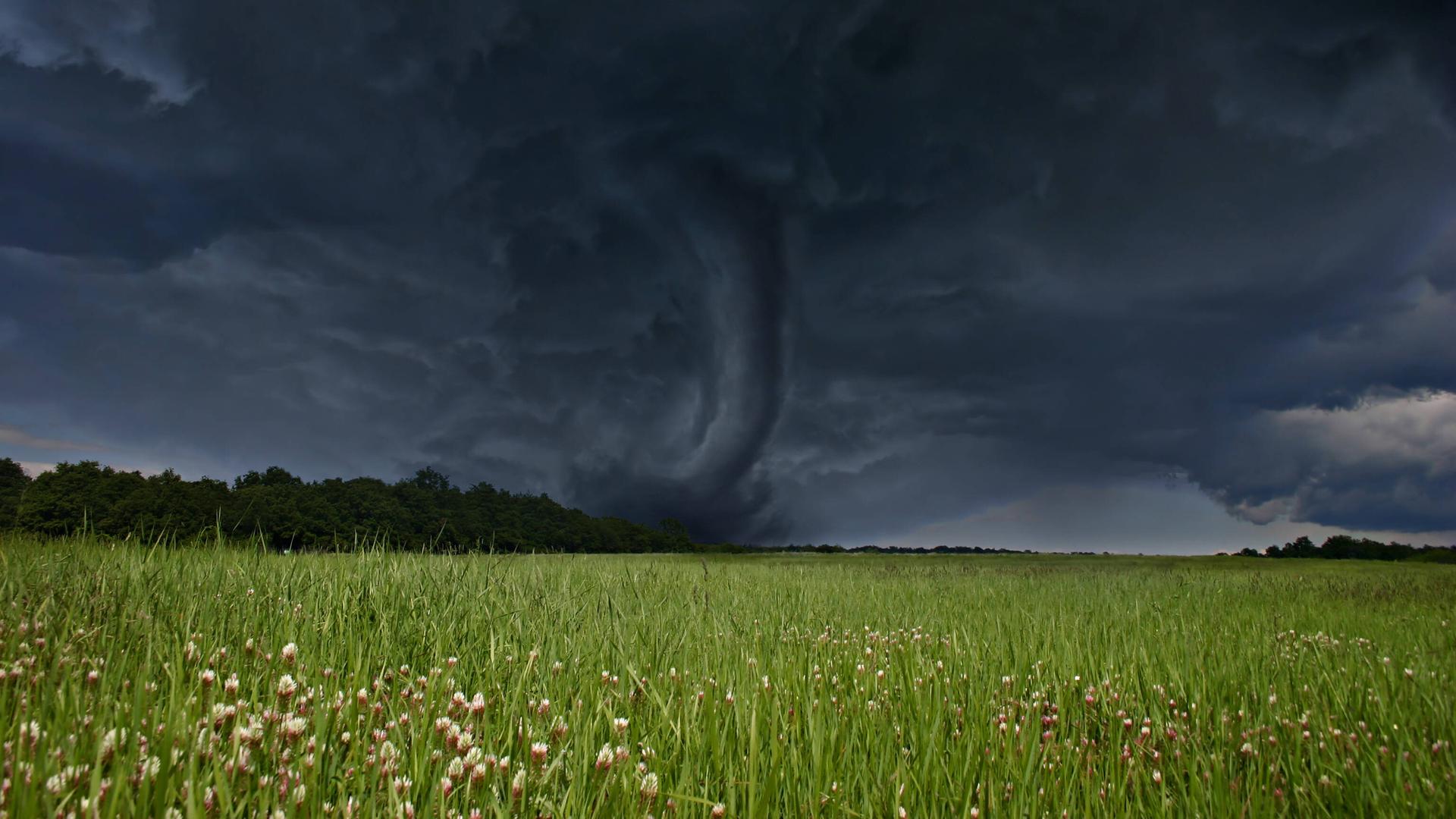Symbolbild: im Vordergrund eine Wiese, im Hintergrund ein Tornado. 