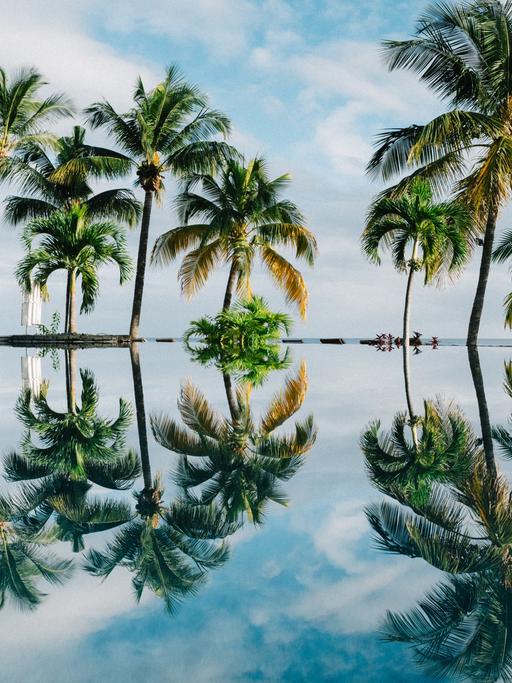 Palmen am Strand spiegeln sich in einer Wasserfläche wider.