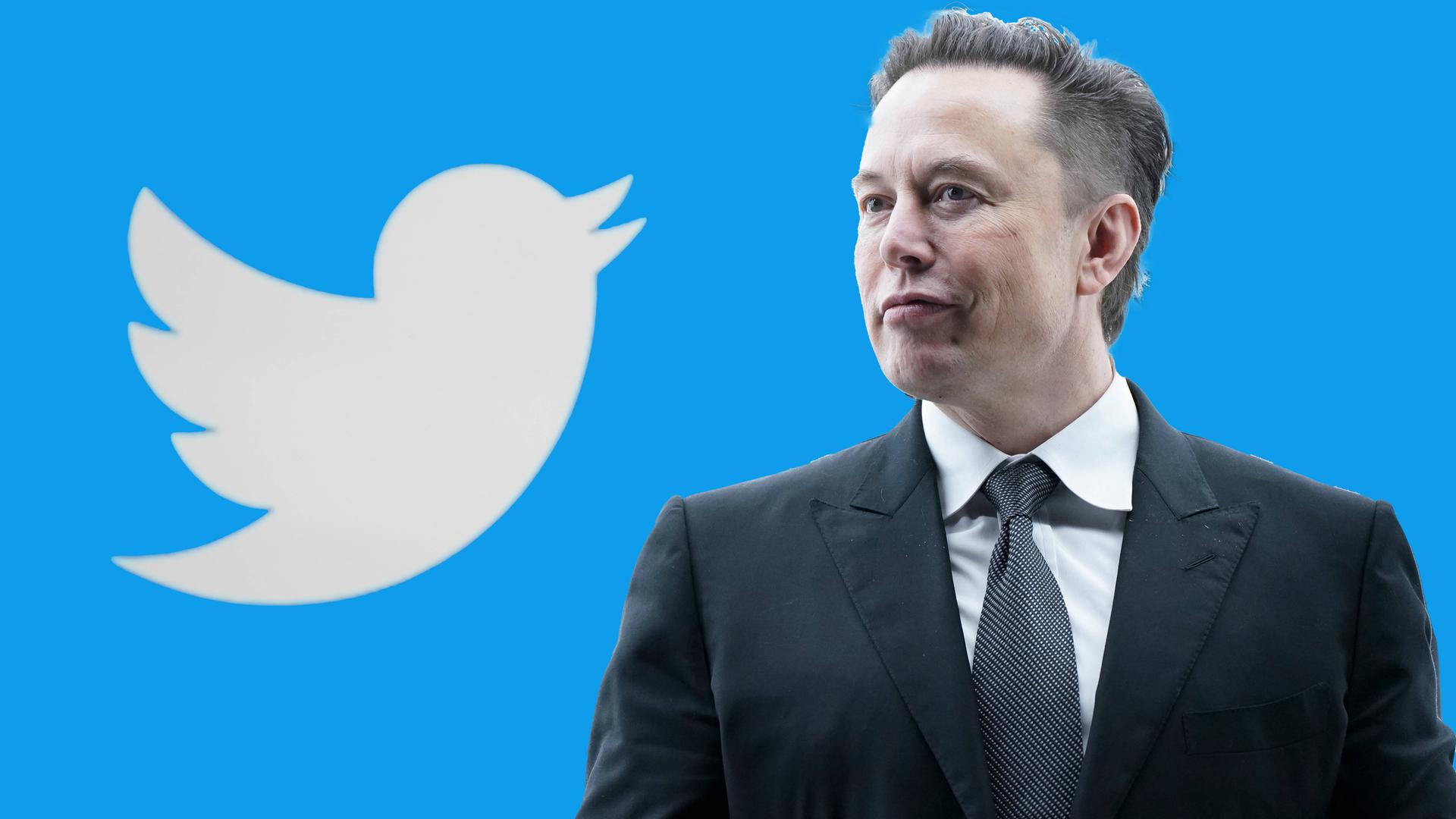 Das Bild zeigt Elon Musk neben dem Symbol für Twitter.