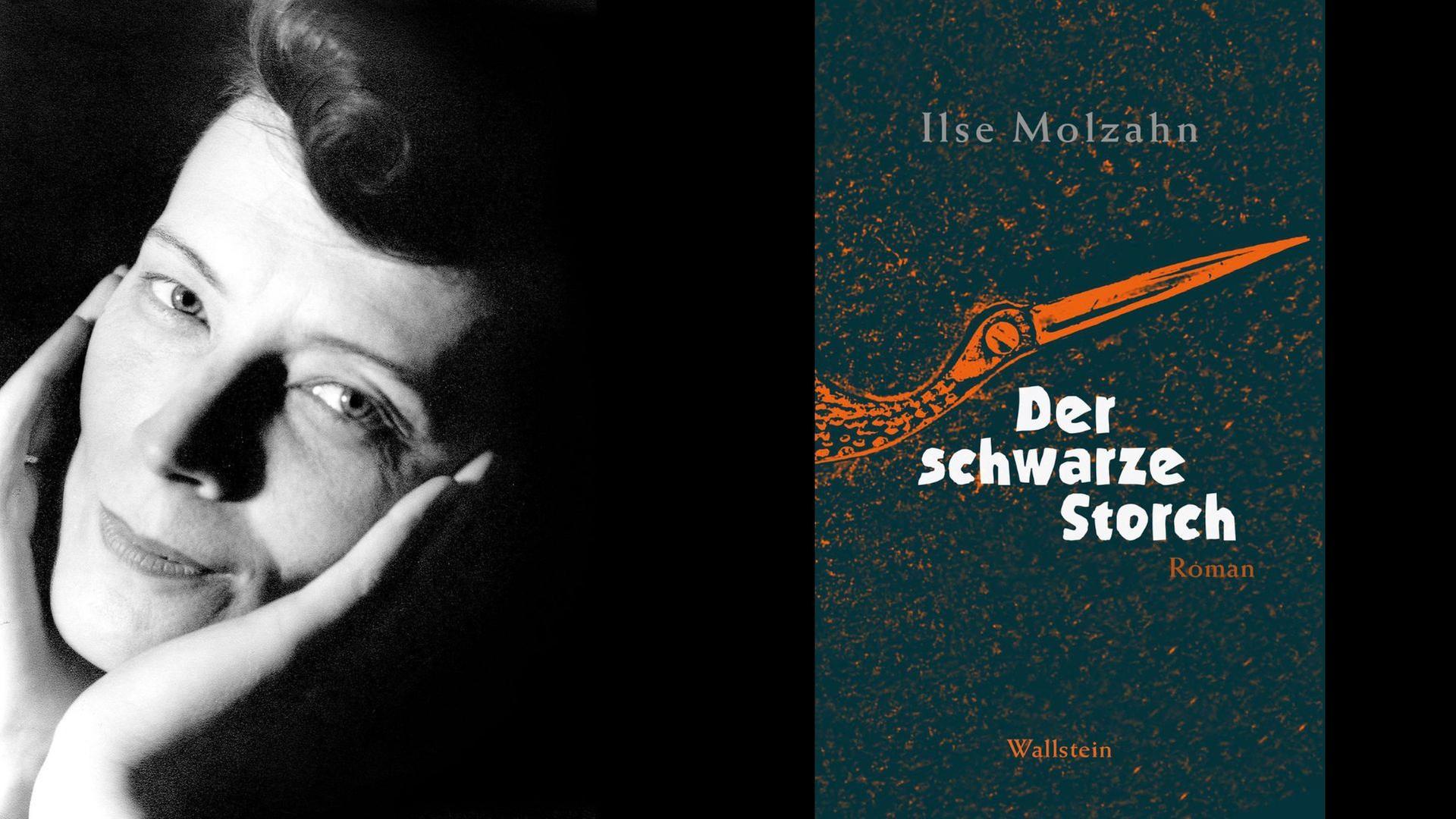 Ilse Molzahn: Der schwarze Storch
Ilse Molzahn: Der schwarze Storch