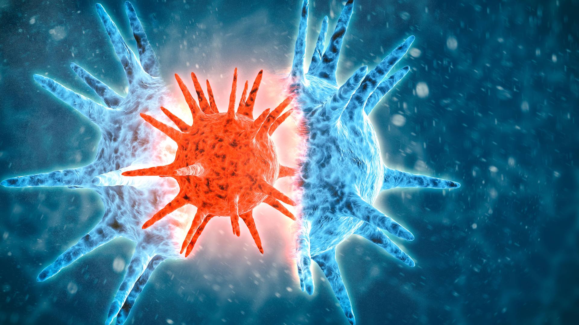 Illustration eines Corona-Virus Illustration eines Corona-Virus