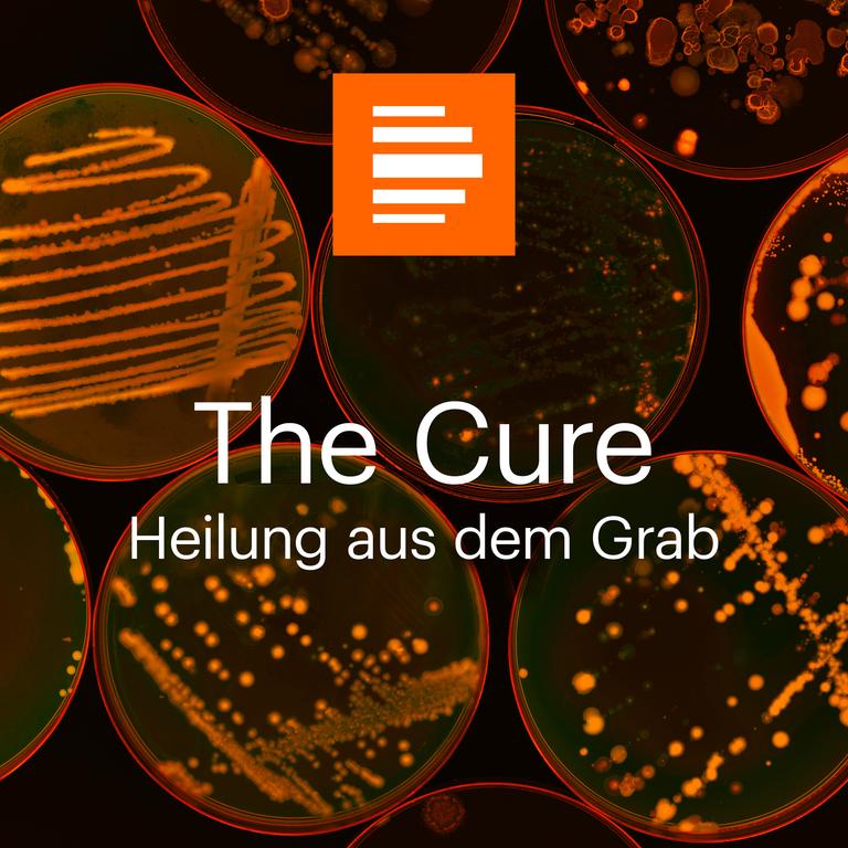 Das Bild zeigt mehrere Petrischalen in Draufsicht. Darauf steht „The Cure – Heilung aus dem Grab“