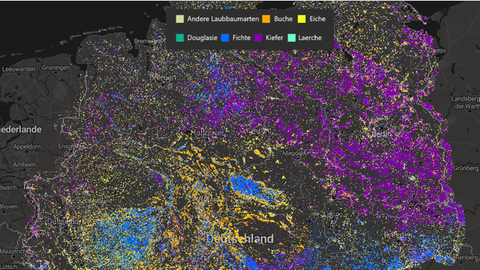 Ein Bild von einer Karte, die in verschiedenen Farben die Bäume in Deutschland zeigt.