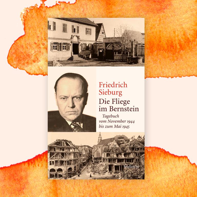 Friedrich Sieburg: „Die Fliege im Bernstein“ – Vom Opportunisten zum Literaturpapst